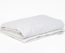 Одеяло пуховое Nature'S Легкие сны 140х205 всесезонное в интернет-магазине Posteleon