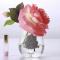 Ароматизированная роза Cote Noire Tea Rose White Peach - фото 5