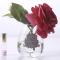 Ароматизированная роза Cote Noire Tea Rose Carmine Red - фото 3