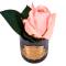 Ароматизированная роза Cote Noire Rose Bud White Peach black - фото 2