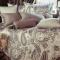 Постельное бельё Hefel Элеганс 1.5-спальное 155х200 тенсель сатин - основновное изображение