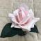 Ароматизированная роза Cote Noire French Rose French Pink black - фото 2