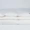 Одеяло пуховое German Grass Royal Down 200х220 теплое - основновное изображение