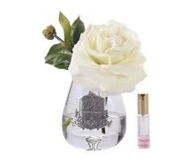 Ароматизированная роза Cote Noire Tea Rose Ivory White - основновное изображение