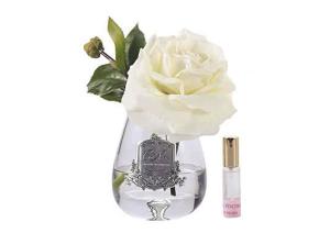 Ароматизированная роза Cote Noire Tea Rose Ivory White - основновное изображение