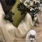 Декоративная подушка Laroche Каноя Олив 30х50 с бисером - фото 4