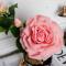 Ароматизированная роза Cote Noire Tea Rose White Peach black - фото 4
