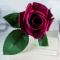 Ароматизированная роза Cote Noire Rose Bud Carmine Red black - фото 7
