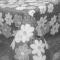 Гобеленовая скатерть Margherita Grigio 140x210, Fini Cop - основновное изображение