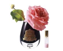 Ароматизированная роза Cote Noire Tea Rose White Peach black - основновное изображение