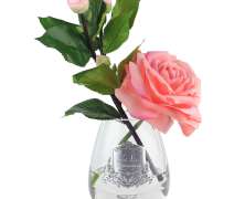 Ароматизированная роза Cote Noire Tea Rose White Peach - фото 7
