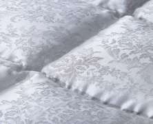 Одеяло с гагачим пуха Brinkhaus Eiderdown 200x200 экстра теплое - фото 1