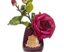 Ароматизированная роза Cote Noire Tea Rose Carmine Red bordo - фото 4