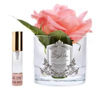 Ароматизированная роза Cote Noire French Rose White Peach - основновное изображение