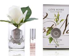 Ароматизированная роза Cote Noire Rose Bud Ivory - фото 2