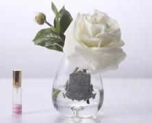 Ароматизированная роза Cote Noire Tea Rose Ivory White - фото 3