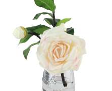 Ароматизированная роза Cote Noire Tea Rose Pink Blush - фото 5