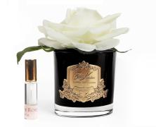 Ароматизированная роза Cote Noire French Rose Ivory black - основновное изображение
