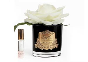 Ароматизированная роза Cote Noire French Rose Ivory black - основновное изображение