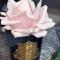 Ароматизированная роза Cote Noire French Rose French Pink black - фото 3