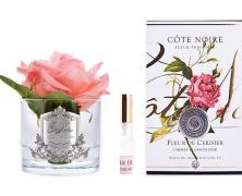 Ароматизированная роза Cote Noire French Rose White Peach - фото 1
