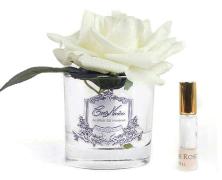 Ароматизированная роза Cote Noire French Rose Ivory в интернет-магазине Posteleon
