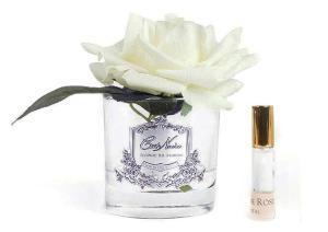 Ароматизированная роза Cote Noire French Rose Ivory - основновное изображение