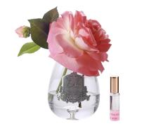Ароматизированная роза Cote Noire Tea Rose White Peach в интернет-магазине Posteleon
