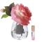 Ароматизированная роза Cote Noire Tea Rose White Peach - основновное изображение