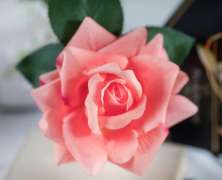 Ароматизированная роза Cote Noire French Rose White Peach - фото 4