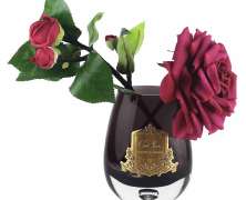 Ароматизированная роза Cote Noire Tea Rose Carmine Red black - фото 5