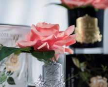 Ароматизированная роза Cote Noire French Rose White Peach black - фото 4