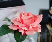 Ароматизированная роза Cote Noire French Rose White Peach - фото 3