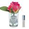 Ароматизированная роза Cote Noire Rose Bud Magenta - основновное изображение