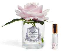 Ароматизированная роза Cote Noire French Rose French Pink - основновное изображение