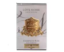 Диффузор Cote Noire Champagne Rose 90 мл gold - фото 2