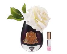 Ароматизированная роза Cote Noire Tea Rose Ivory White black - основновное изображение