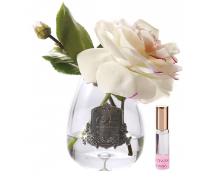 Ароматизированная роза Cote Noire Tea Rose Pink Blush в интернет-магазине Posteleon