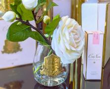 Ароматизированная роза Cote Noire Tea Rose Pink Blush gold - фото 3