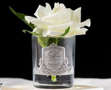 Ароматизированная роза Cote Noire French Rose Ivory - фото 5