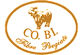 Логотип компании Co.Bi производителя пледов