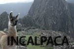 Пледы из шерсти Альпака Бэйби, производства Incalpaca, Перу