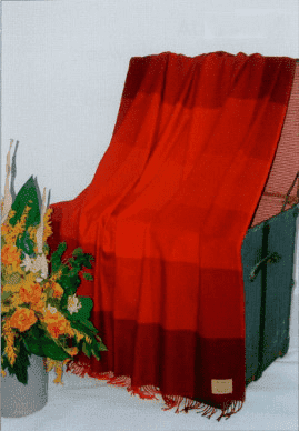 Шерстяной плед Steinbeck Mosel 338/3 красный 130х180