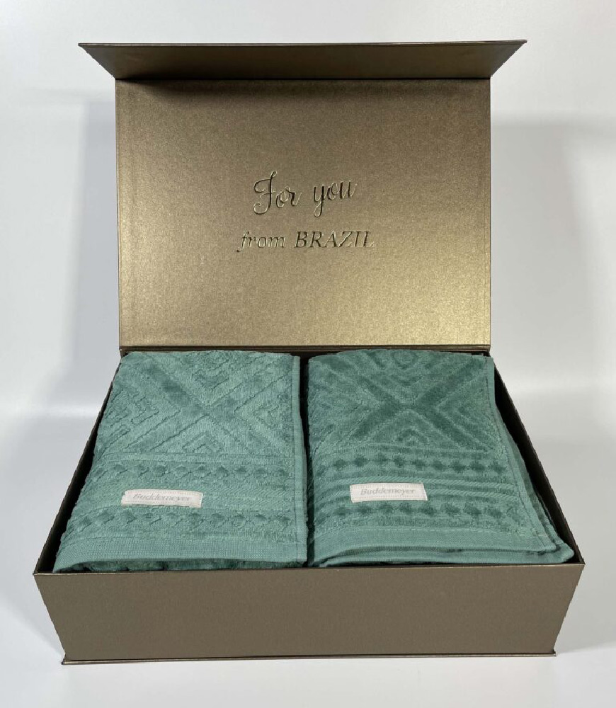 Коробка подарочная Buddemeyer Бронза медалей 35х25х10 с магнитами