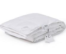 Одеяло пуховое Belpol Royal 140х205 легкое в интернет-магазине Posteleon
