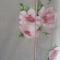 Постельное белье Mirabello Primula евро макси 220х240 перкаль - фото 1