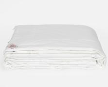 Двойное одеяло German Grass Alliance Tencel & Hemp 200х200 легкое / легкое в интернет-магазине Posteleon