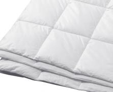 Одеяло пуховое Dauny Zermatt 200x220 легкое в интернет-магазине Posteleon