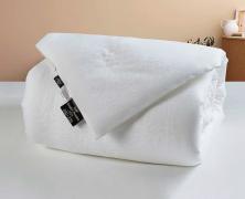 Одеяло шелковое OnSilk Comfort Premium 200х220 облегченное - основновное изображение