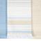 Комплект из 3х кухонных полотенец Luxberry Акварель 40х60 белый/бежевый/голубой - фото 1